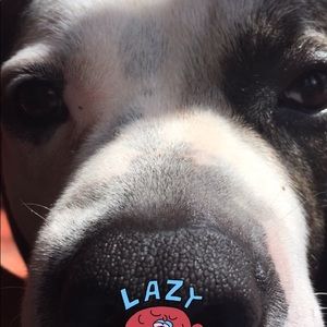 Meet your Posher, Federico